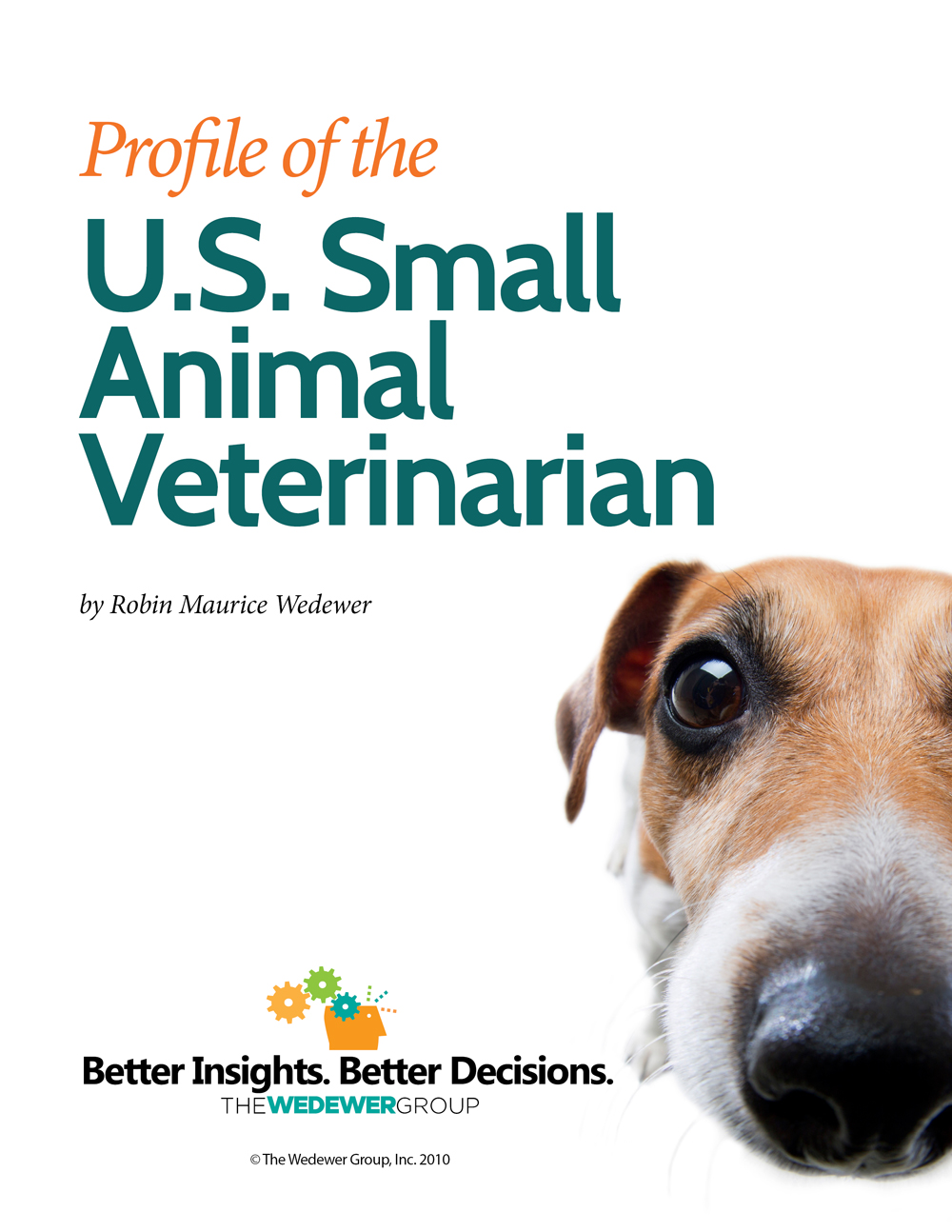 Feature image profile of small animal vet in us